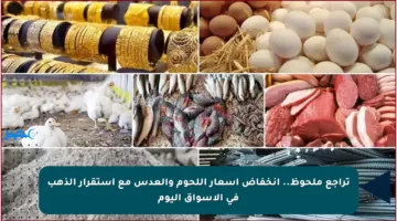 تراجع ملحوظ.. انخفاض أسعار اللحوم والعدس مع استقرار الذهب في الأسواق اليوم